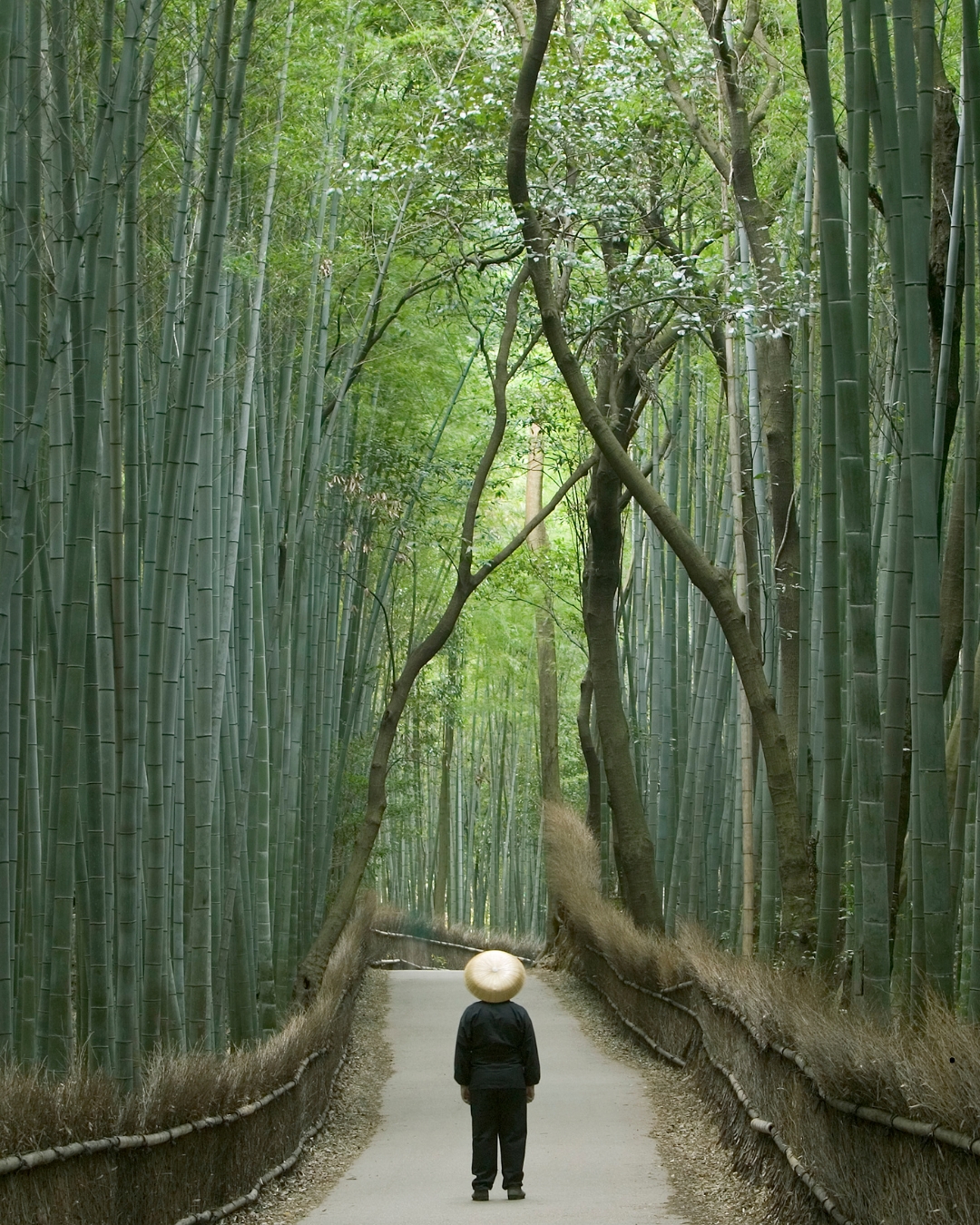japon4