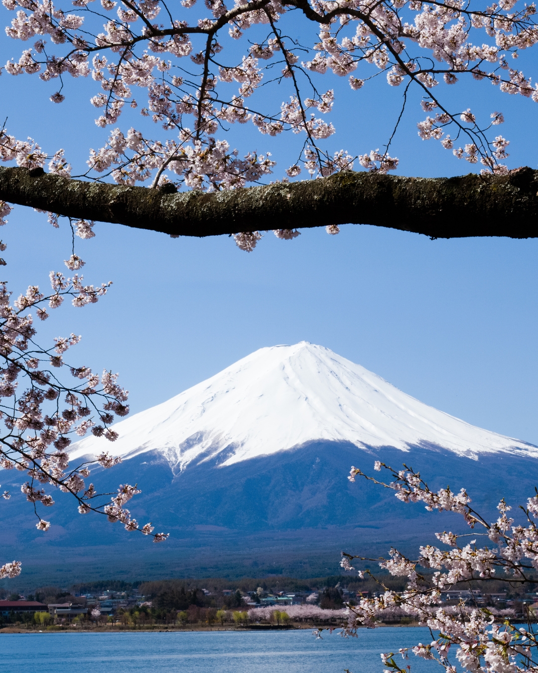 japon5