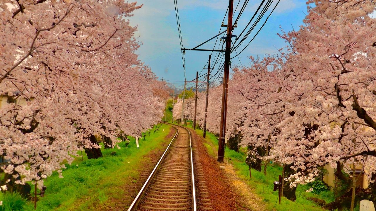 ARASHIYAMA