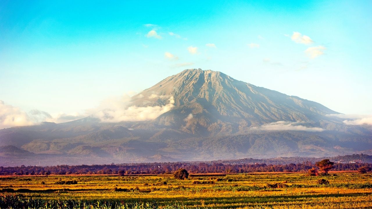 ARUSHA1