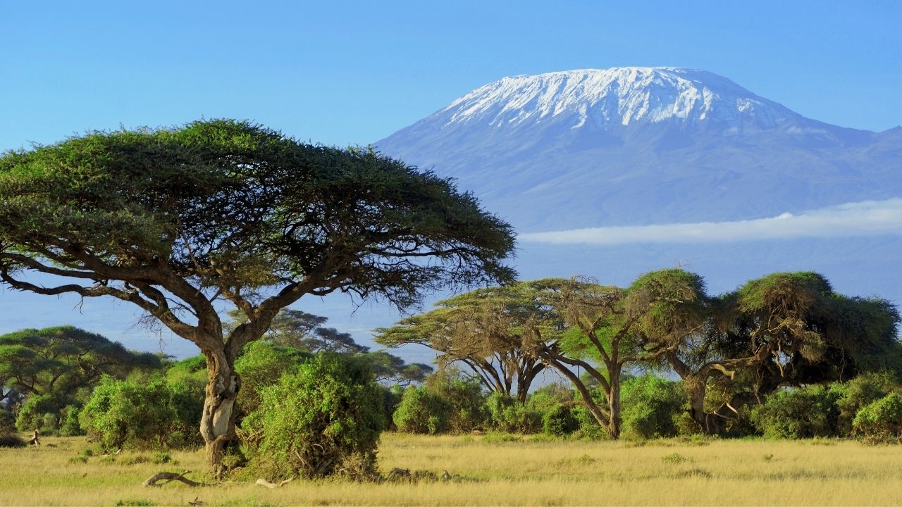 KILIMANJARO1