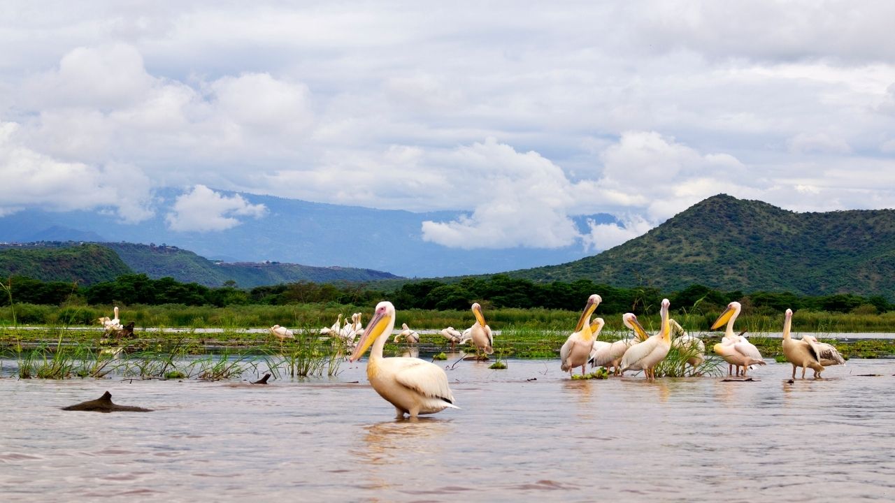 El lago Chamo