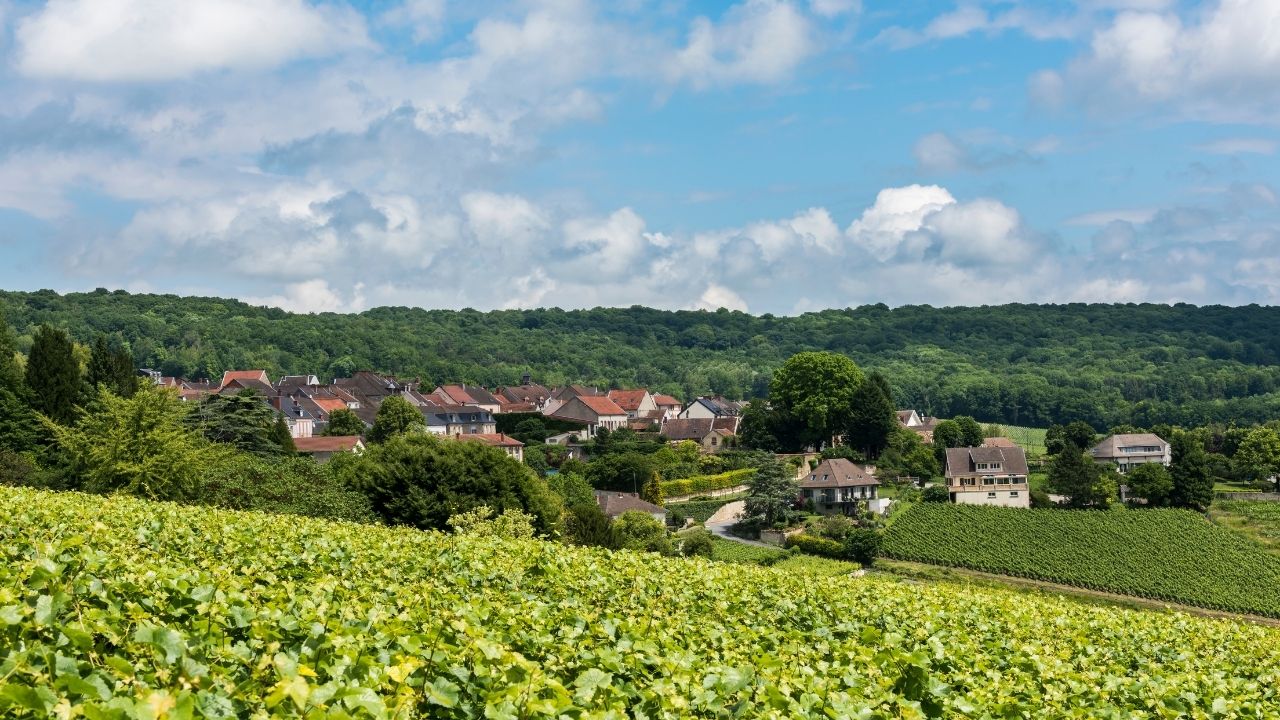 Hautvillers