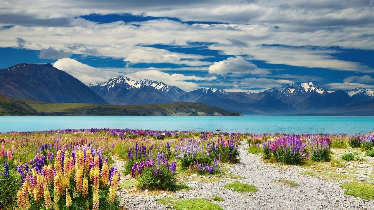 Lake Tekapo