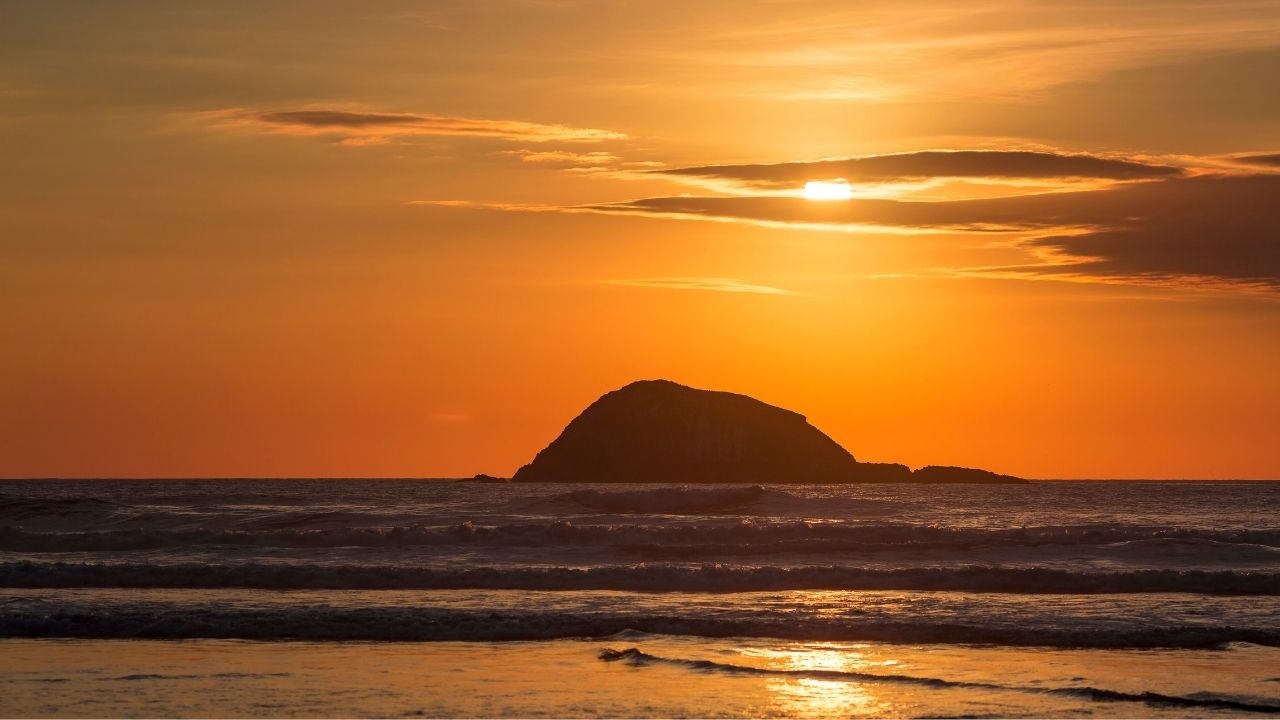 Muriwai