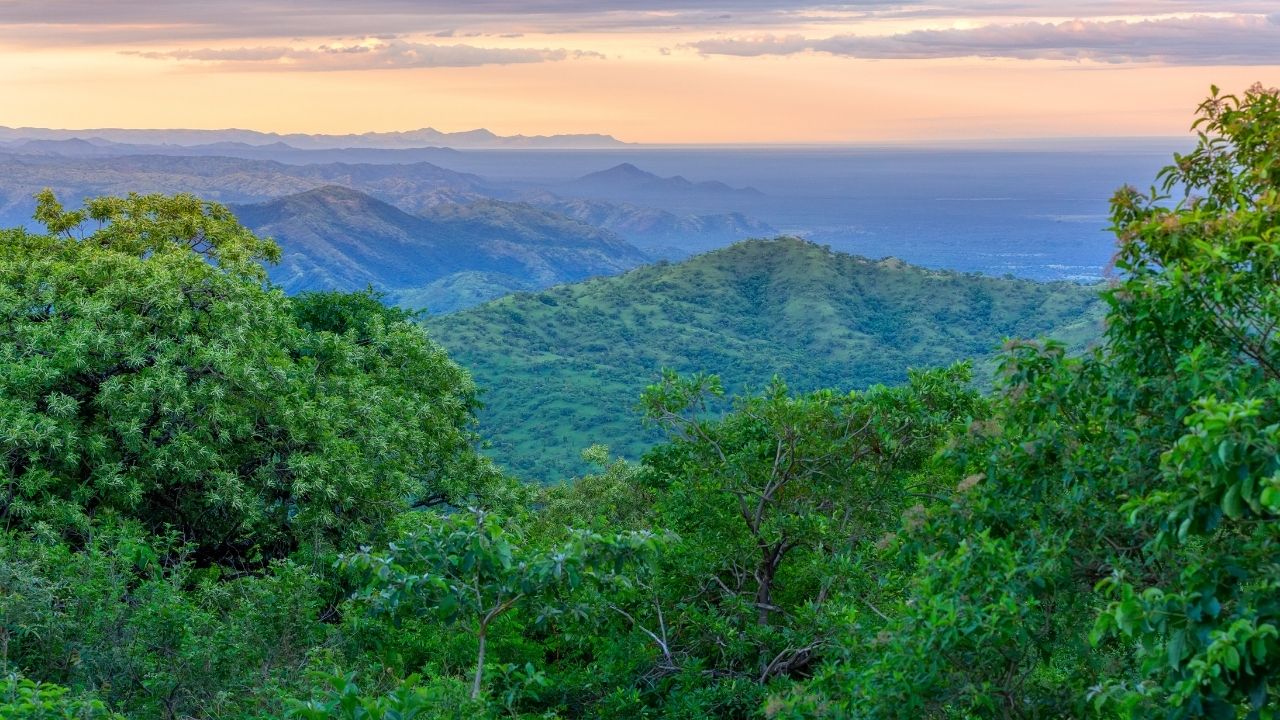 Parque Nacional de Mago