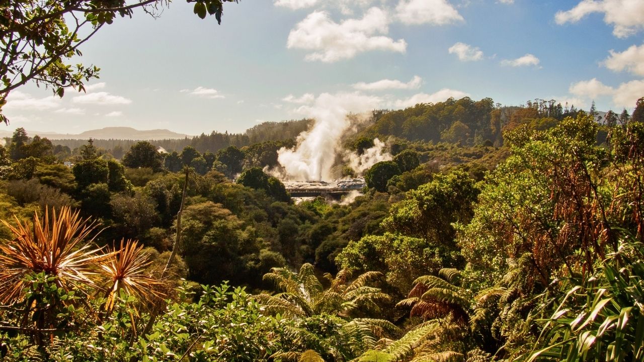 Rotorua3