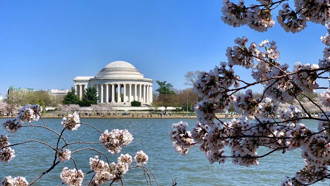 Washington D.C.