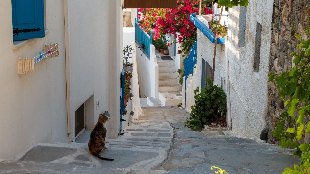 naxos1