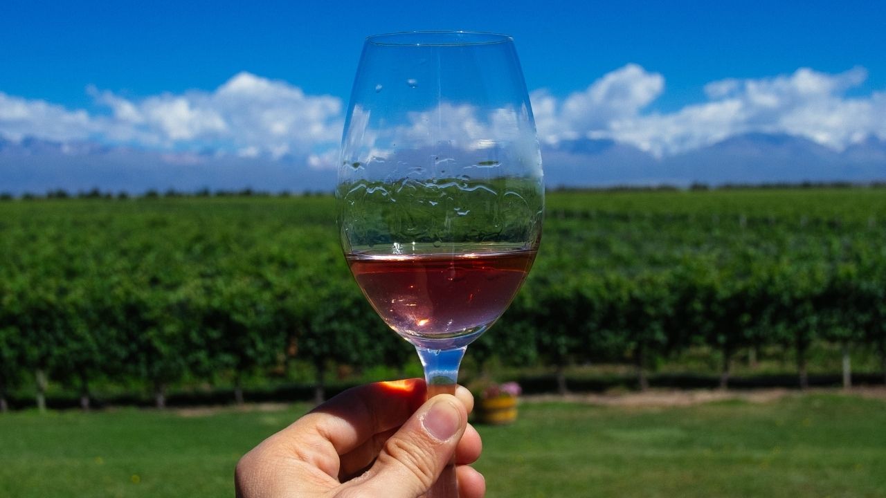 MALBEC2