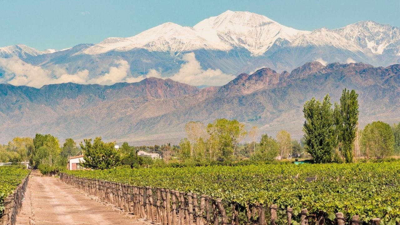 Mendoza2