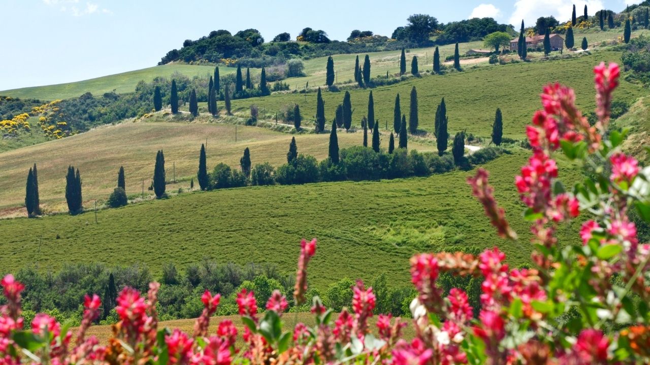 TOSCANA