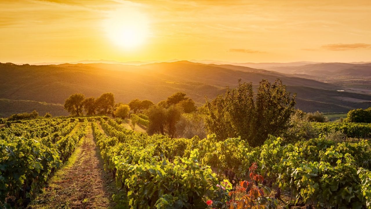 TOSCANA1